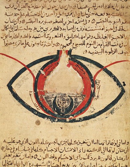 Anatomy of the Eye, from a book on eye diseases od Al-Mutadibi