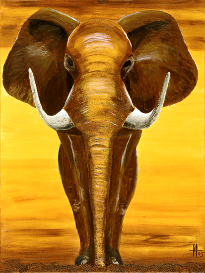 Elephant od Arthelga