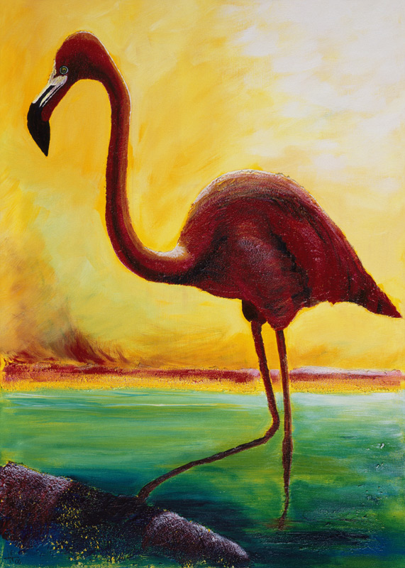 Flamingo od Arthelga