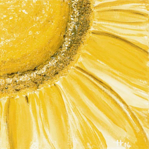 Sunflower od Arthelga