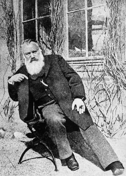 Johannes Brahms, c.1897 od Austrian Photographer