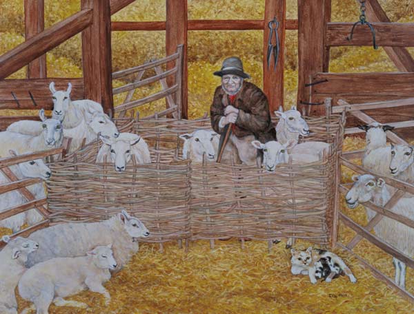 Barn-sheep  od Ditz 