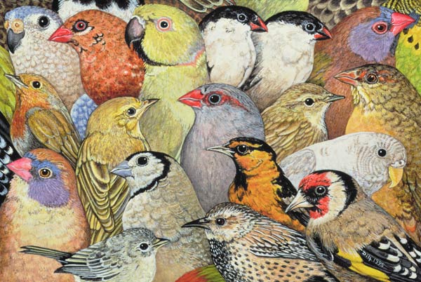 Patchwork-Birds, 1995 (acrylic on panel)  od Ditz 