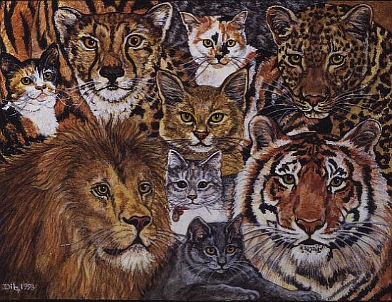 Ileana''s Semi-Wild Cat-Spread-Patch, 1993  od Ditz 