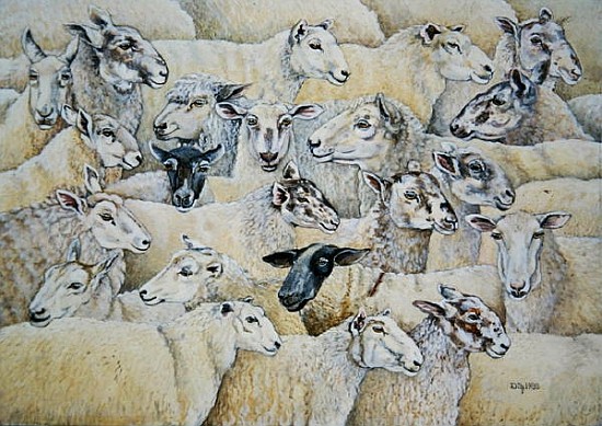 Sheep-Blanket  od Ditz 