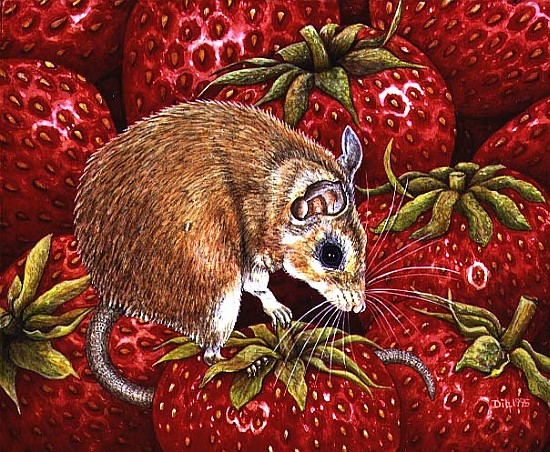 Strawberry-Mouse, 1995 (acrylic on panel)  od Ditz 