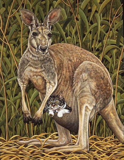 The Kangaroo-Cat  od Ditz 