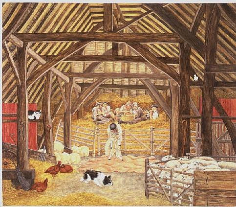 The Shearing Barn  od Ditz 