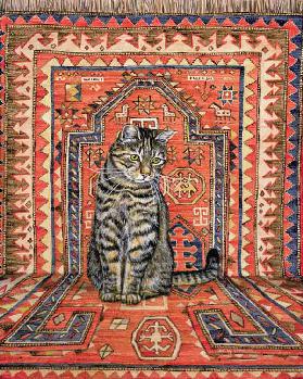 The Carpet-Cat 