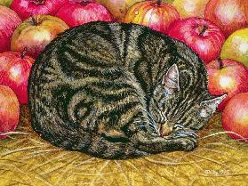 Left-Hand Apple-Cat, 1995 (acrylic on panel) 