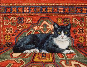 Druhý koberec-Cat-Patch