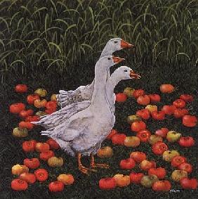 Apple-Geese/Grassapples (composite)