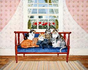 Biedermeier-Cats 