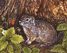 Eagle Creek, Wild Strawberry, Ground Squirrel, 1995 (acrylic on panel) 