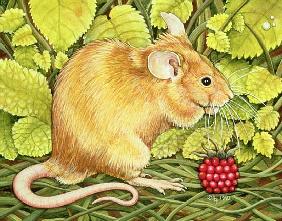 The Raspberry-Mouse 