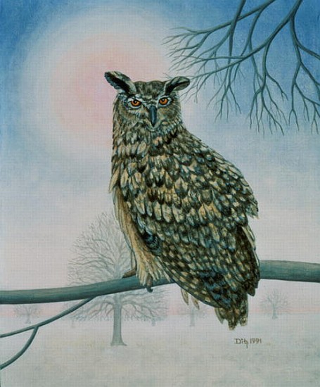Winter-Owl  od Ditz 