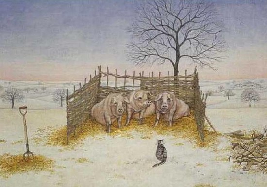 Winter Pigs  od Ditz 