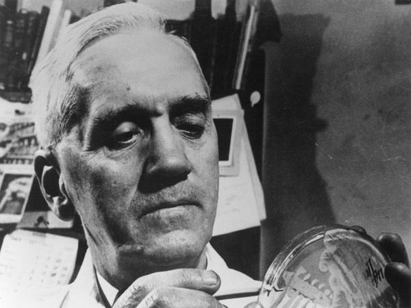 Alexander Fleming (1881-1955) c.1945 (b/w photo)  od English Photographer
