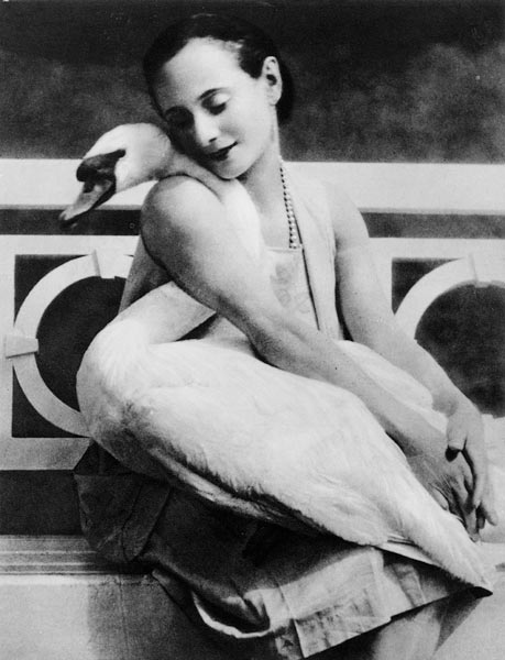 Anna Pavlova with her pet swan Jack, c.1905 od English Photographer