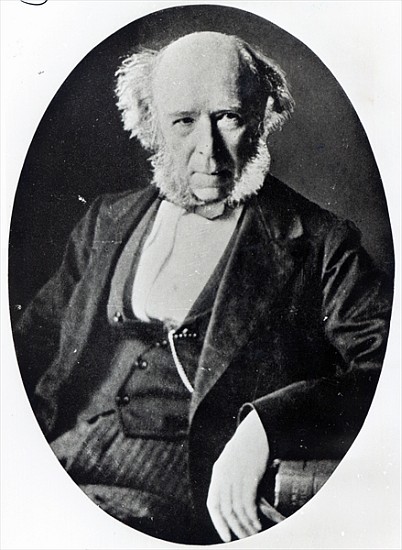 Herbert Spencer (1820-1903) od English Photographer