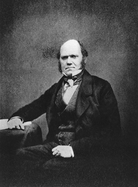 Portrait of Charles Darwin (1809-82) (b/w photo)  od French Photographer