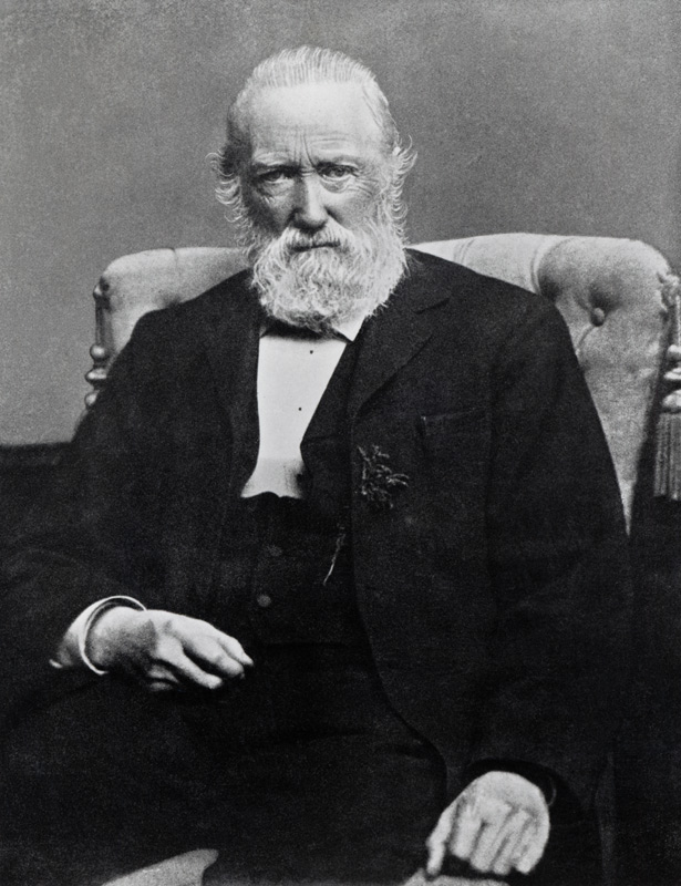 Theodor Storm, c.1886 od German Photographer