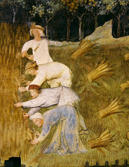 Harvesting wheat, detail od Italian School