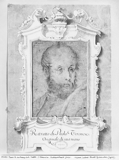 Portrait of a man presumed to be Veronese (Paolo Caliari) (pierre noire on bluish paper) od Italian School
