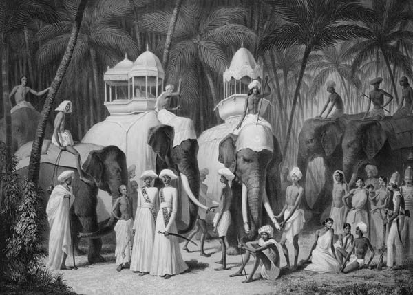 Elephants of the Raja of Travandrum, from 'Voyage in India' engraved by Louis Henri de Rudder (1807- od A. Soltykoff