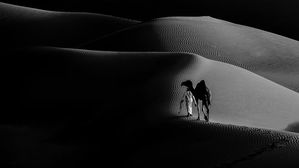 Silk Road od Abdulqader AlAni