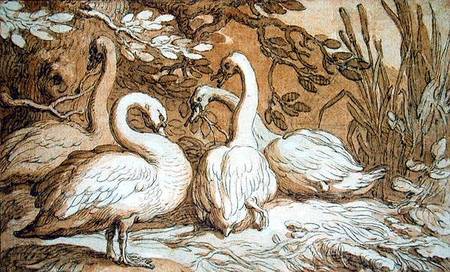 A Group of Swans od Abraham Bloemaert
