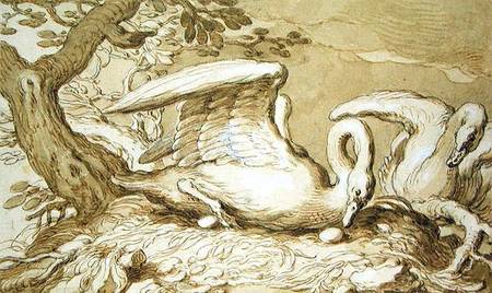 A Swan in her Nest od Abraham Bloemaert