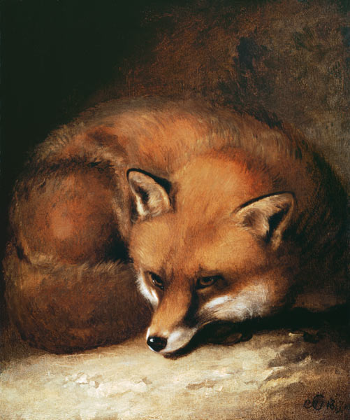 A Fox od Abraham Cooper