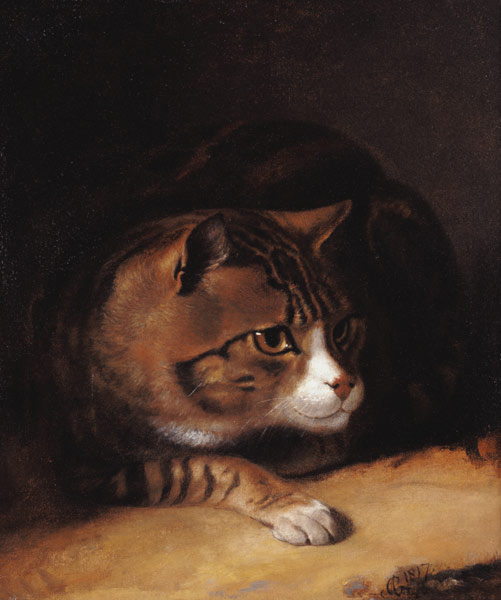 A Tabby Cat od Abraham Cooper
