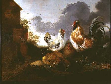 Poultry in a farmyard od Abraham van Calraet