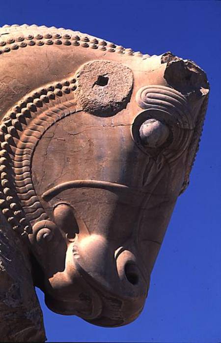Bull's head on the northern portico of the Throne Hall of Xerxes od Achaemenid