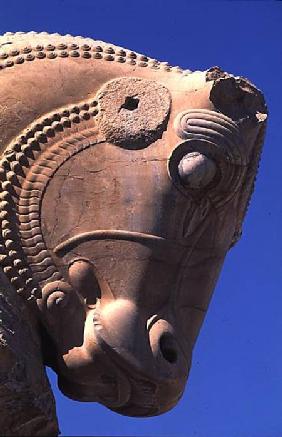 Bull's head on the northern portico of the Throne Hall of Xerxes