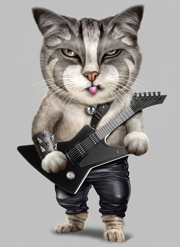 heavy metal cat od Adam Lawless