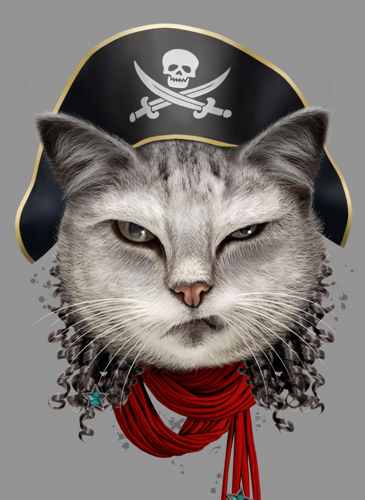 pirate od Adam Lawless