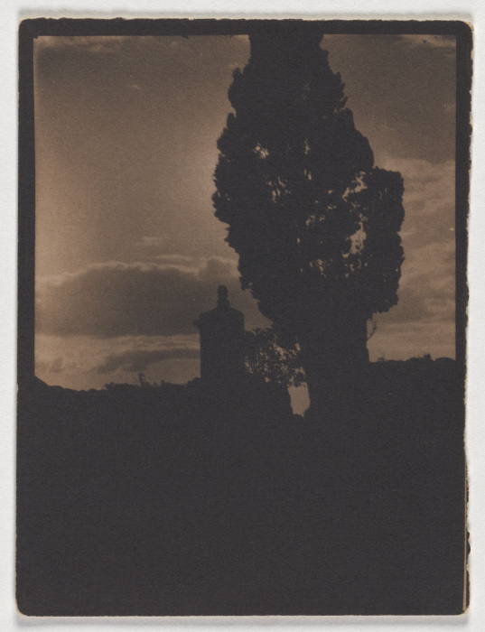 Silhouette of tree and tower in the evening sky od Adolf DeMeyer
