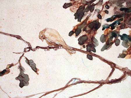 Canary on an Oak Tree Branch od Adolph Friedrich Erdmann von Menzel