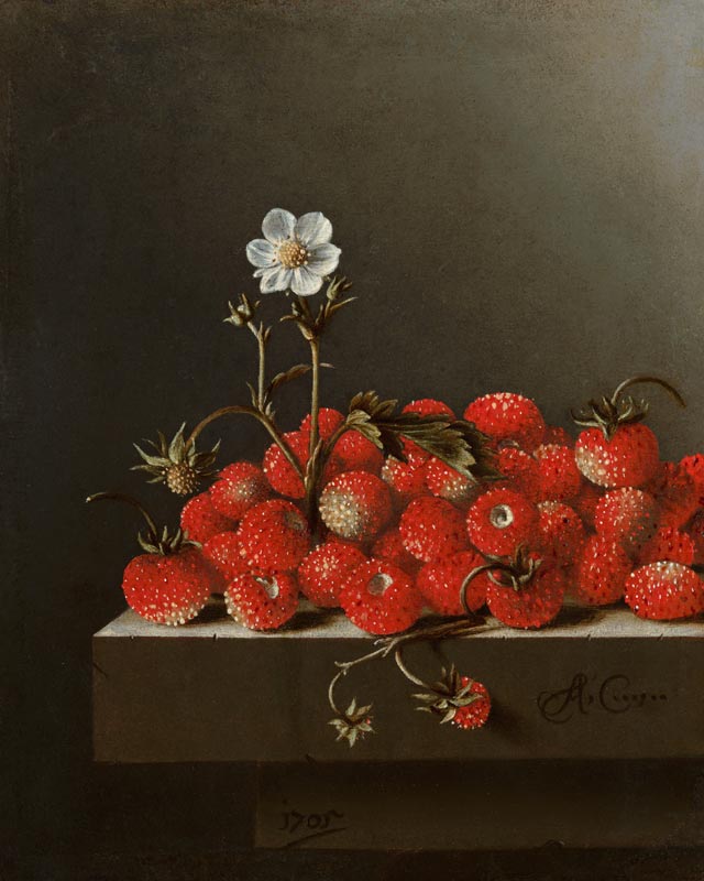Still Life with Wild Strawberries od Adrian Coorte
