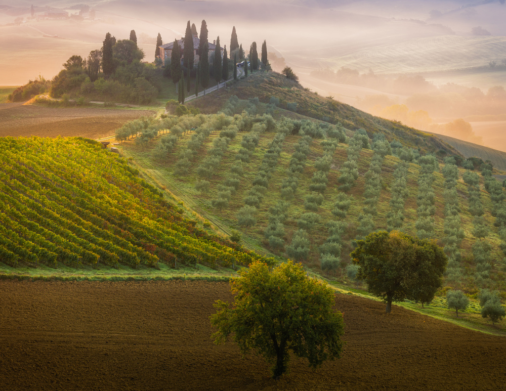 Tuscany od Adrian Popan