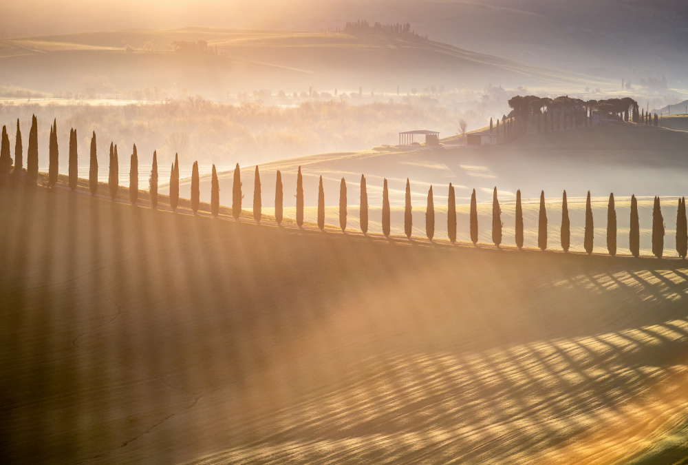 Tuscan Sunrise od Adrian Popan