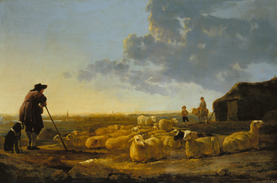 Herd of Sheep at Pasture od Aelbert Cuyp