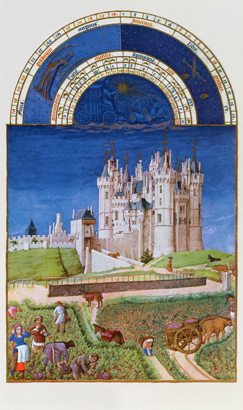 Fascimile of September: harvesting grapes the Limbourg brothers, from the ''Tres Riches Heures du Du od (after) French School