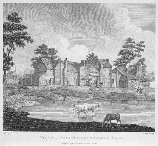 View of the Pest-Houses at Tothill Fields ; engraved by Charles Pye od (after) Edward Dayes