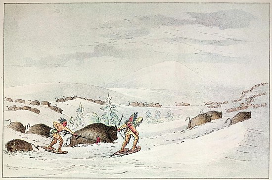 Hunting buffalo on snow-shoes od (after) George Catlin
