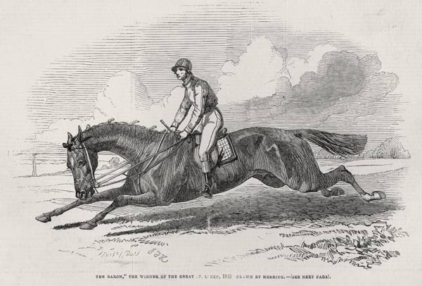 ''The Baron'', the winner of the Great St. Leger, from ''The Illustrated London News'', 27th Septemb od (after) John Frederick Herring Snr