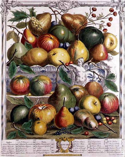 January, from ''Twelve Months of Fruits'', Robert Furber (c.1674-1756) ; engraved by  Gerard Vanderg od (after) Pieter Casteels